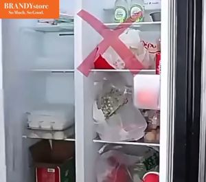 Kontainer Makanan Penyimpanan Kulkas Storage Box Bening