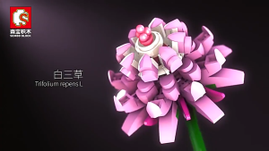 Building Block DIY Rose Flower Succulent Plant Birthday Gifts Creative Bouquet Blok Bangunan DIY Bunga Hadiah Bonsai