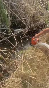 SHINING ปั๊มแช่ 2 นิ้ว ปั๊มจุ่ม ไดโว่ ปั๊มน้ำ ปั๊มแช่ไฟฟ้า ปั๊มน้ำแรงดันสูง รุ่น QDX1.5-12-0.75 750 วัตต์ ขดลวดทองแดง 100% สายไฟยาว 7 เมตร