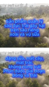 Đặc trị sâu đục trái 240ml Bugatteegolg 120sc dạng sữa mát cây mát trái.