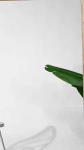 COD kids terno NBA Jersey Shokuko Rukawa ( #127 )