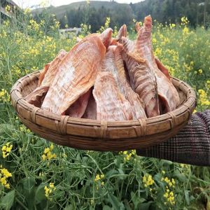 Fresh and Tender Dried Bamboo Shoots Premium