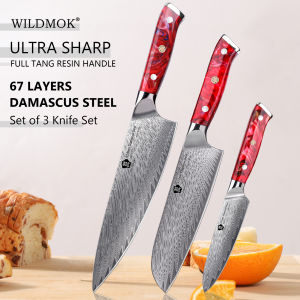 WILDMOK 3 PCS Kitchen Knife Set 67 Layer Japanese VG10 Damascus Steel Sharp Blade Comfortable Resin Handle for Daily Cooking