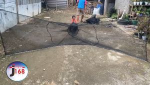 Pukat Jaring Ikan Pukat perangkap ikan waring jaring RK triple track siap pakai