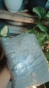 Abu Gosok 7 Ball isi 175 BKS/ Telor Asin/Cuci Piring/Tempat PUP Hewan / Sekam/Abu Gosok Asli Termurah