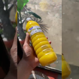 CITRUSY CALAMANSI JUICE EXTRACT WHOLESALE 10 BOTTLES