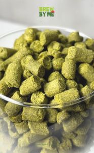 ฮอปส์ Citra Hops – CRYO โดย Yakima Chief Hops |ทำเบียร์ Homebrew