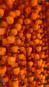 Hồng treo gió Vuông Đồng loại 1 – Moony Farm Đà Lạt