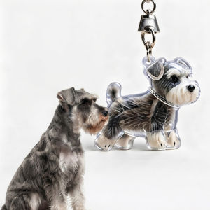 New DIY Transparent Dog Hair Storage Container Adorable Pet Keepsake Capsule Pendant With Key Ring for Pet Lovers Memorial
