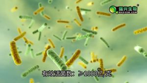 Bacillus Licheniformis 1000亿/克地衣芽孢杆菌农业种植微生物菌剂改良土壤根生苗长
