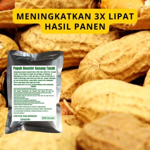 Pupuk Booster Kacang Tanah: Cara Meningkatkan Hasil Panen