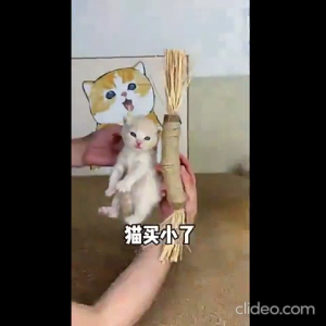 [Cat Toy] Matatabi Chew Sticks & Carrot Toys – Includes scratch carrot matatabi stick | Fun Solo