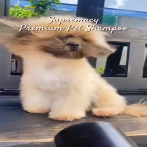 Supremacy Premium Dog Shampoo Professional Deep Cleansing & Deodorizing Nourishing Enriched with Natural Extracts Helps Remove Dirt Odor & Excess Oil Promotes Soft Shiny & Healthy Coat Gentle pH-Balanced Care for Sensitive Skin Suitable for All Dog Breeds