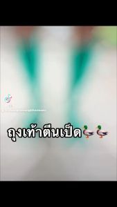 ถุงเท้า 6 แบบ ลงนา คู่หน้า ฟรี ถุงเท้าลงน้ำ กันหิน กันหอย ถูกสร้างขึ้นถึงกันปลิง รองเท้าตีนเป็ด คลาสี สำหรับผู้สู่การดูแลเมื่อเป็นคู่