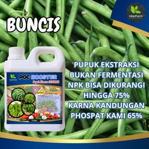 Pupuk Tanaman Buncis: Pupuk Penyubur Tanaman Sayuran