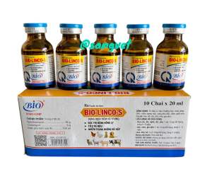 BIO LINCO S 20ml  - Viêm Phổi Khò Khè