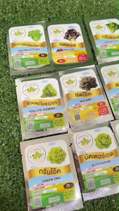 เมล็ดพันธุ์ผักสลัดประมาณ 200 เมล็ด ทำมะชาดฟาร์ม การันตีอัตราการงอก ** 10ฟรี1**