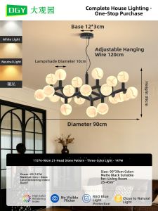 DGY | Modern Simple Luxurious Chandelier Design