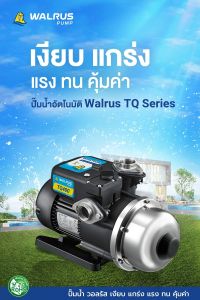 WALRUS ปั้มน้ำอัตโนมัติ ระบบแรงดันคงที่ ขนาดท่อเข้าออก 1นิ้ว กำลัง 370วัตต์ รุ่น TQ-400 (มาดถึงปริมาณ 56x45x45mm) ที่ Made in Taiwan (รับประกันมอเตอร์ 5ปี)
