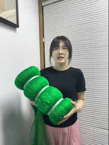 ✨High Quality✨50M/100M Chicken net Nylon net 100 Meters Net for fishing net Plant Net Thick and Durable Net
