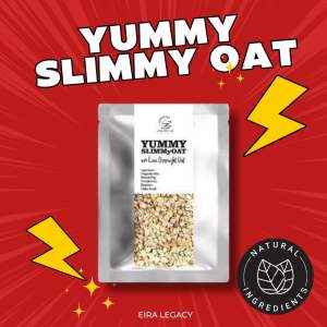 Yummy Slimmy Oat ( organik oat buah kering)