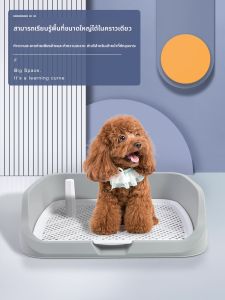 ที่ปัสสาวะสำหรับแมวและสุนัขขนาดเล็ก ที่ปัสสาวะสำหรับสุนัขขนาดกลางและขนาดใหญ่ อุปกรณ์สำหรับสุนัขที่ป้องกันการเดินไปยังที่ปัสสาวะ