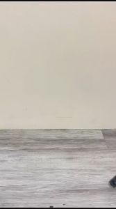 TRIPOD 3110 TRIPOD HP / TRIPOD KAMERA STAND PORTABLE U TERMURAH