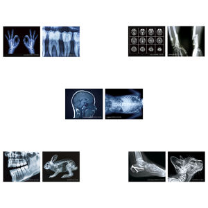 MOYINGXIONG | Miniature X-ray Viewer Light Simulation Instrument