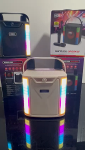 Speaker with 2 wireless mic 5 RGB lighting to change Bluetooth built in battery usb flash plug n play TF card plug n play fixed carry handle n mic holder