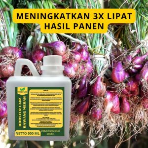 Pupuk Pelebat Bawang Merah / Pupuk Bawang Merah / Pupuk Booster Bawang Merah / Pupuk Bawang Merah