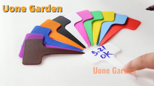 6x10cm 100 ชิ้น PVC ป้ายชื่อต้นไม้ PLTD T010B สวน เมล็ดพันธุ์ ป้ายแท็ก