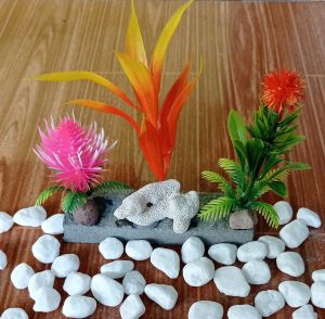 tanaman hias aquarium 1pc batu merah..