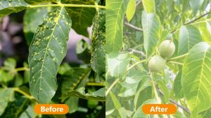 Garden Netting 3*10m Garden Insect Netting Pest Barrier Plant Covers Garden Mesh，for Protect Vegetable Plants