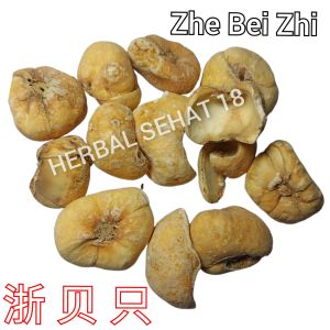 Chuan Bei Mu Zhe Bei Zhi 100Gram Bulbus Fritillariae Cirrhosae