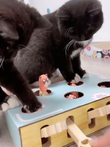 【Local Seller】Cat Scratcher 3 In1 Whack-A-Mole Cat Toys For Indoor Cats Kitten Interactive Funny Cat Toy with rockers