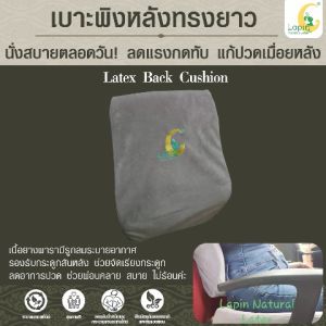 เบาะพิงหลังยางพาราทรงยาวแท้ Latex Back Cushion*สีเทาปัก Lapin (Limited Edition)