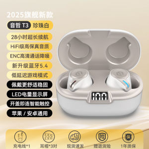 Yinze T3 Bluetooth Wireless In-Ear Headphones High Sound Quality Long Battery Life Sports Gaming New 2025 Model Support Music