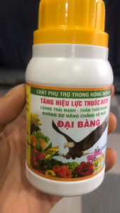 PHÂN BÓN CHẤT LƯU DẪN ĐẠI BÀNG – TĂNG ĐỘ BÁM DÍNH - MAI HUY SINCE 2008