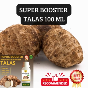 Pupuk Umbi Talas 100ML Supaya Cepat Berbuah Pupuk Umbi Talas Subur Berbuah Pupuk Cepat Besar