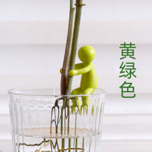 Hydroponic Plant Growth Companion Support Branch Desk Decoration Monstera Deliciosa Gardening Fixed Shape Anti-Lodging Leaf