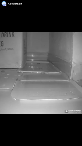 Sticky Rat Board / Mouse Catcher Trap Super Glue Rat / Sticky Rat Board / Gum Rat / Glue Rat Trap