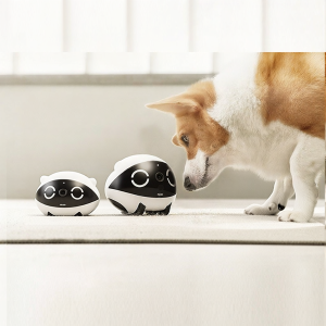 Enabot | Smart Pet Companion Robot Wireless Monitoring