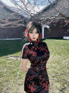 New Chinese Style Cheongsam Dress Halloween Christmas Cosplay Uniform Short Sleeve Maid Uniform Short Cheongsam Daily Wear