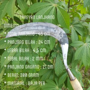 Arit baja isen super tajam cap 555 / arit baja isen Madura / arit rumput baja asli Madura / sabit Madura baja isen / sabit rumput baja isen / sabit baja isen