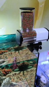 YEE Auto Feeder Fish Automatic 550ML Aquarium Food Dispenser Small Feeding Machine Timer鱼缸自动喂食器(READY STOCK)