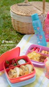 ทัพเพอร์แวร์ เซ็ต 3 ชิ้น กล่องข้าวแบ่งส่วน Tupperware Lollitup (3) 550ml