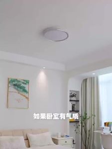 PARSA | Modern Style Italian Luxury Silver Frame Ceiling Light