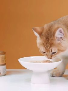 Thức ăn ướt súp thịt đóng hộp bổ sung dinh dưỡng cho Mèo - Love Pets Shop