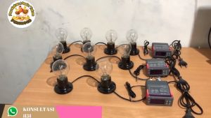 Paket Siap Pakai STC1000 Kapasitas 100 Sampai 120 Butir Telur Mesin Tetas