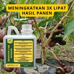 Pupuk Semprot Pelebat JENGKOL: Cara Menggunakan Pupuk Penyubur JENGKOL ZPT